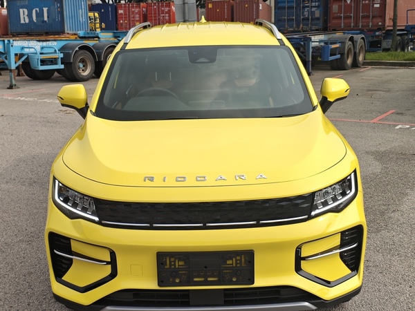 Riddara RD6 Electric