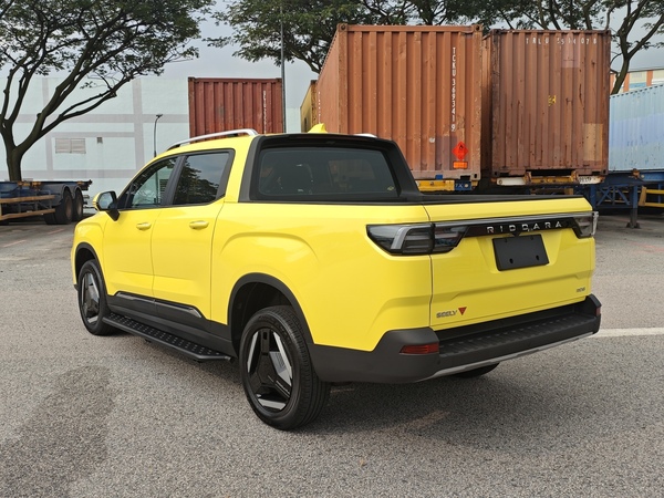 Riddara RD6 Electric