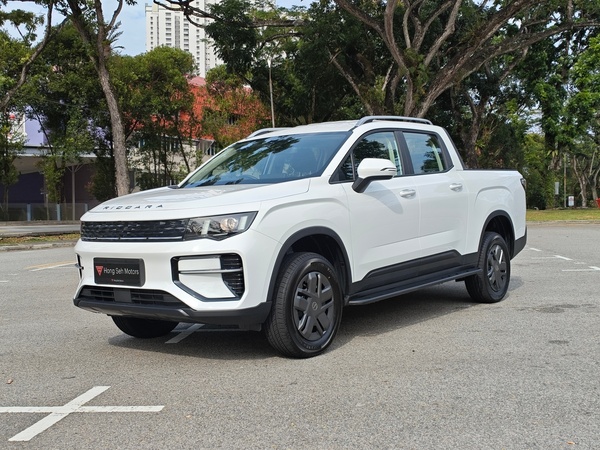 Riddara RD6 Electric