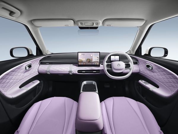 Dongfeng Box Electric