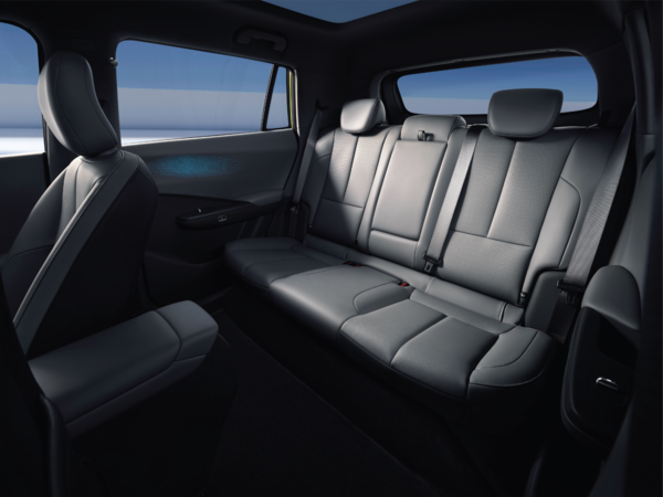 Dongfeng Vigo Electric