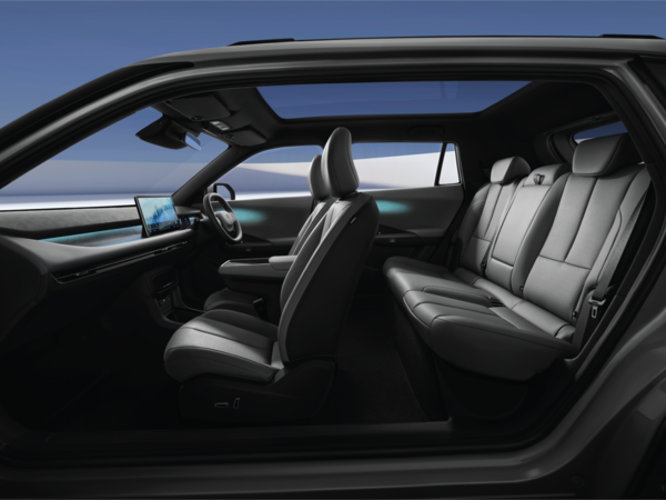 Dongfeng Vigo Electric