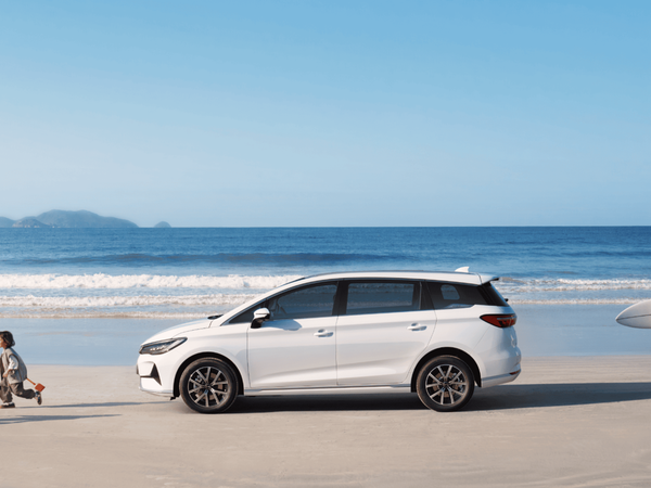 BYD M6 Electric